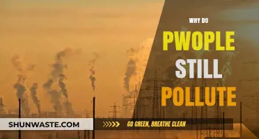 Why Do People Still Pollute? Uncovering the Persistent Environmental Crisis