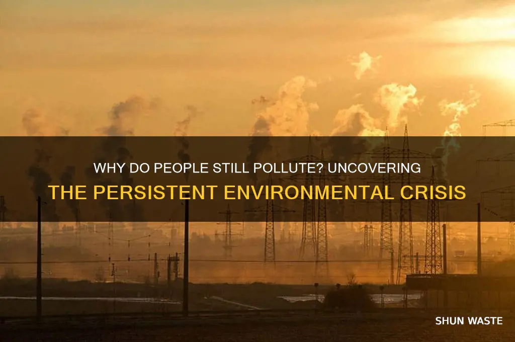 why do pwople still pollute
