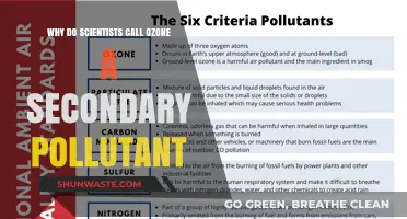Ozone's Dual Nature: Understanding Its Role as a Secondary Pollutant