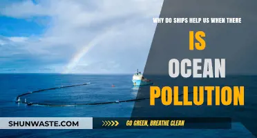 Ships as Allies: Combating Ocean Pollution and Protecting Marine Ecosystems