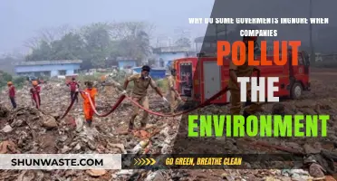 Corporate Pollution: Why Governments Turn a Blind Eye to Environmental Damage