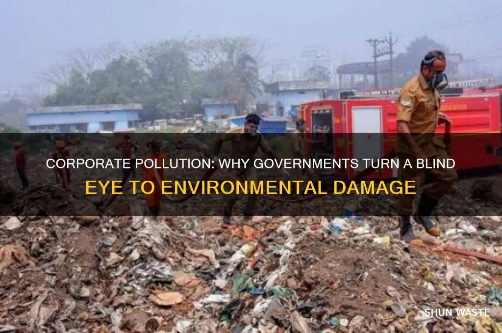 why do some goverments ingnore when companies pollut the environment