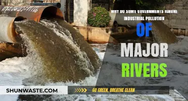 Silent Waters: Governments' Neglect of Industrial Pollution in Major Rivers