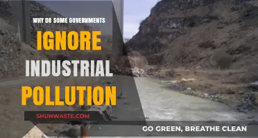 Silent Crisis: Why Governments Overlook Industrial Pollution's Devastating Impact