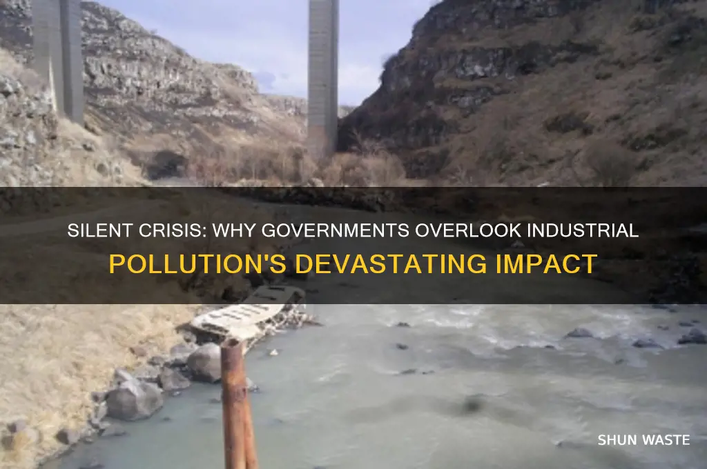 why do some governments ignore industrial pollution