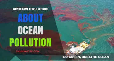 Why Do Some Ignore Ocean Pollution? Exploring Apathy's Roots