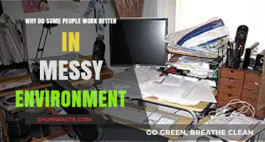 Messy Desks, Creative Minds: Embracing Chaos for Enhanced Productivity