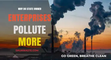 State-Owned Enterprises and Pollution: Uncovering the Environmental Impact
