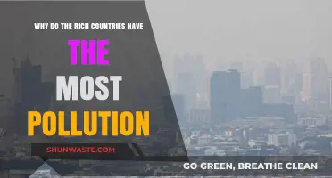 Wealthy Nations, Toxic Legacies: Unraveling Pollution's Disproportionate Impact