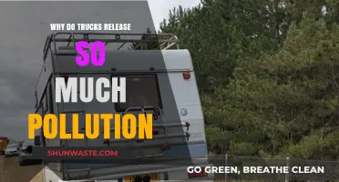 Why Trucks Emit High Pollution: Causes and Solutions Explained