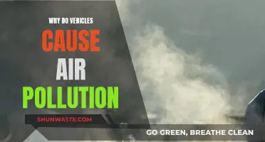 How Vehicles Pollute the Air We Breathe