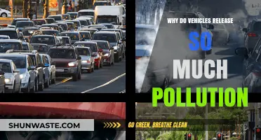 Why Vehicles Emit Excessive Pollution: Causes and Environmental Impact