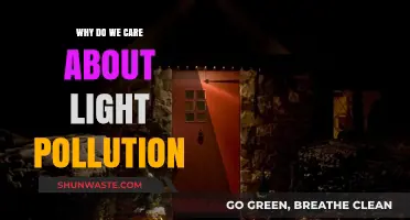 Light Pollution's Impact: Why We Must Protect Our Dark Skies
