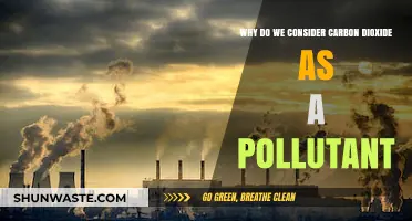 Carbon Dioxide: Understanding Its Role as a Harmful Pollutant