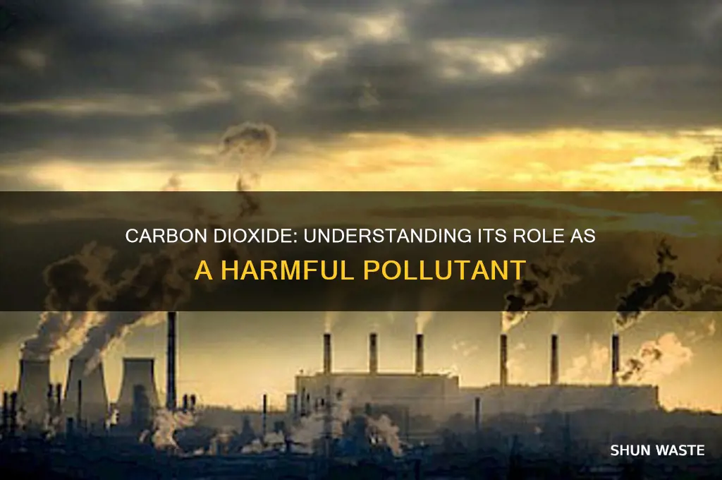 why do we consider carbon dioxide as a pollutant