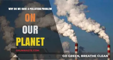 Unraveling the Roots of Earth's Persistent Pollution Crisis