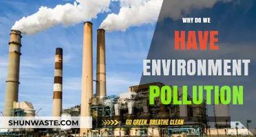 Understanding the Root Causes of Environmental Pollution and Its Impact