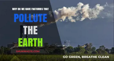 Factories' Environmental Impact: Why Do They Pollute Our Planet?