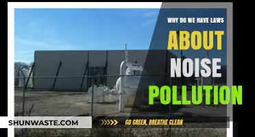Understanding Noise Pollution Laws: Protecting Communities from Unwanted Sound