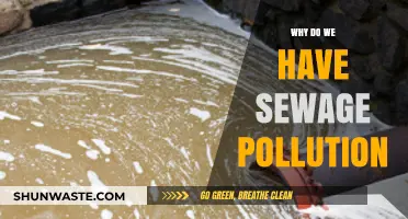 Understanding Sewage Pollution: Causes, Impacts, and Prevention Strategies