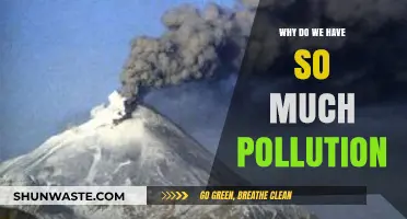 Unveiling the Root Causes of Our Escalating Pollution Crisis