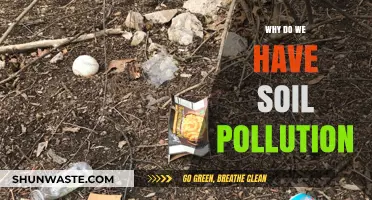 Understanding Soil Pollution: Causes, Impacts, and Prevention Strategies
