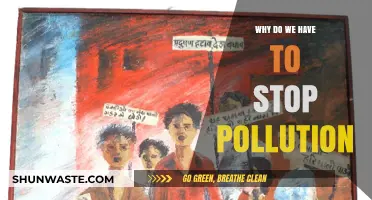 Stop Pollution Now: Protecting Our Planet and Future Generations