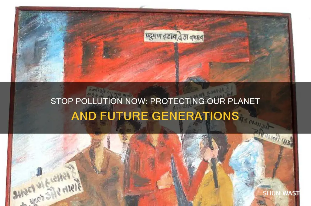 why do we have to stop pollution