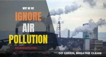 Air Pollution: Ignorance is Not Bliss