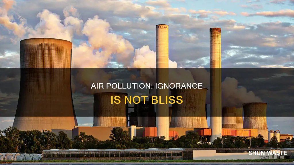 why do we ignore air pollution