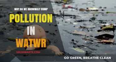 Why We Consciously Poison Our Waters: A Deep Dive