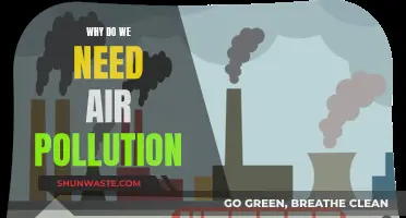 Air Pollution: A Necessary Evil?