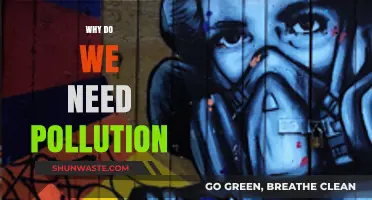 The Unexpected Necessity: Why Pollution Persists in Modern Society