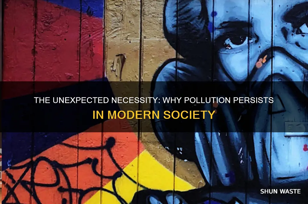 why do we need pollution