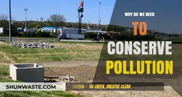 Why Pollution Conservation is Vital for Our Planet's Survival