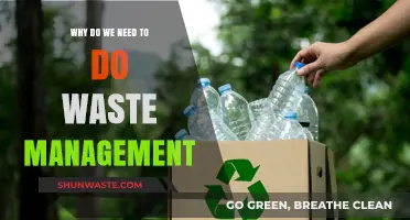 Sustainable Futures: The Critical Role of Waste Management
