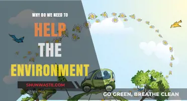 Protecting Our Planet: Why Environmental Action is Essential for Survival