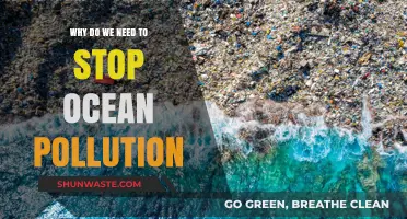Stop Ocean Pollution: Protecting Marine Life and Our Future