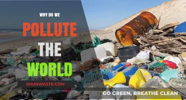 Why Do We Pollute the World? Uncovering Human Impact and Solutions