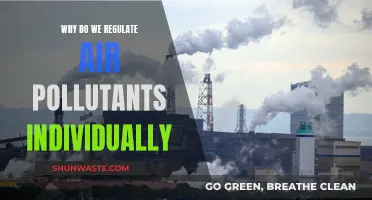Air Pollutant Regulation: Why Individual Control?
