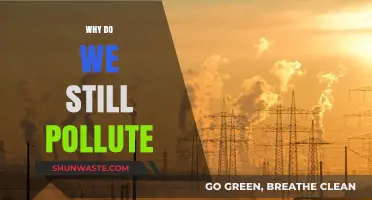 Why Do We Still Pollute? Uncovering the Persistent Environmental Crisis