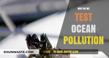 Understanding Ocean Pollution Testing: Safeguarding Marine Ecosystems and Human Health