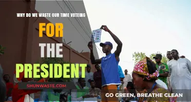 The Futility of Presidential Voting: A Critical Perspective