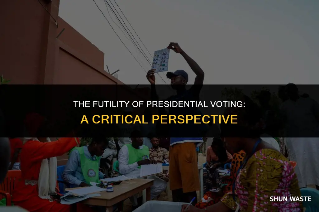 why do we waste our time voteing for the president