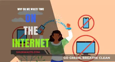 Digital Distractions: Understanding Our Internet Time Sink