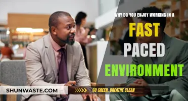 Thriving in the Fast Lane: Embracing the Rush of High-Speed Work Environments