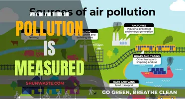 Air Pollution Measurement: Understanding the Impact