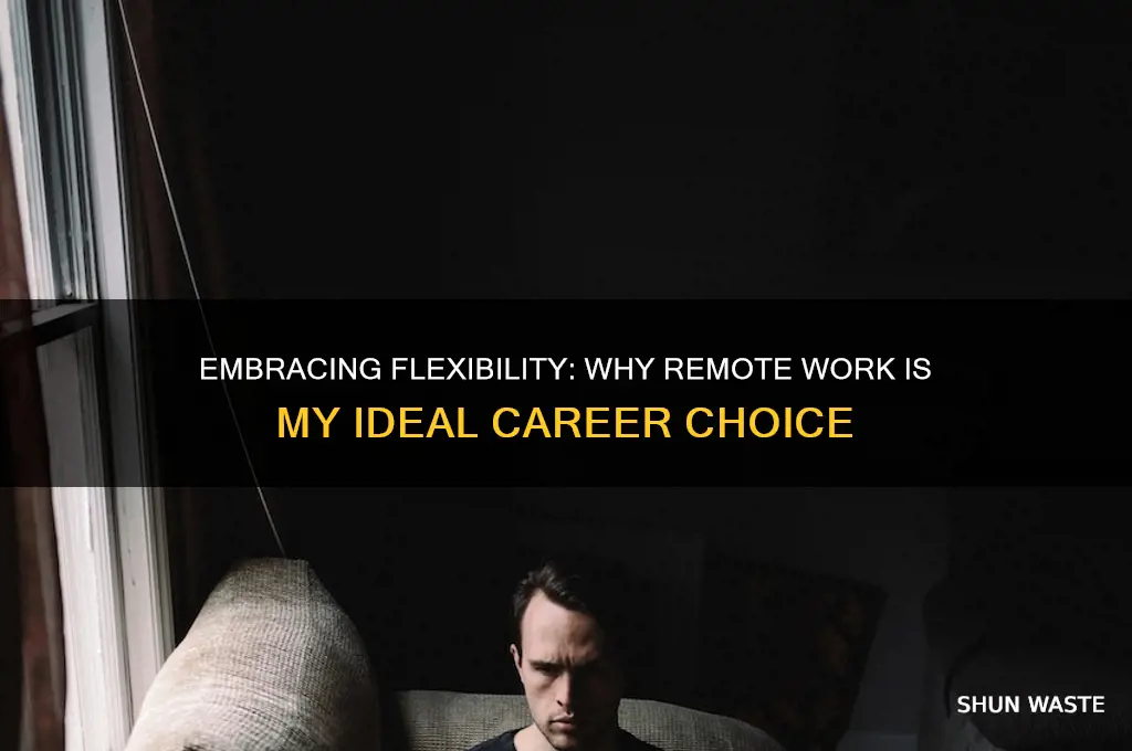 why do you want to work in a remote environment