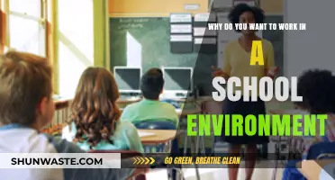 Why a School Environment is the Ideal Workplace for You