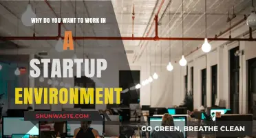 Thriving in Chaos: Why a Startup Environment Fuels Ambition and Growth